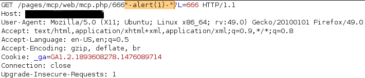 Reflected XSS within URL 3